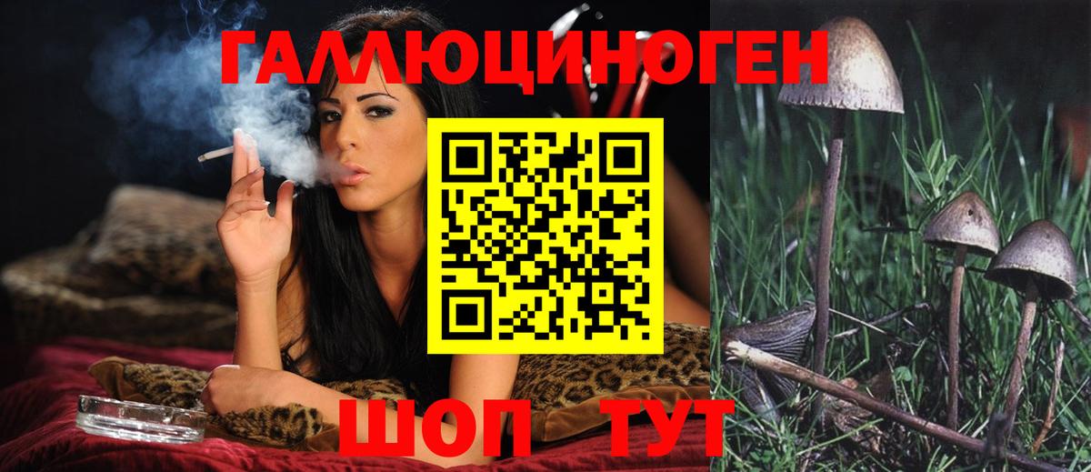 Псилоцибиновые грибы прущие грибы  цены наркотик  Берёзовский 