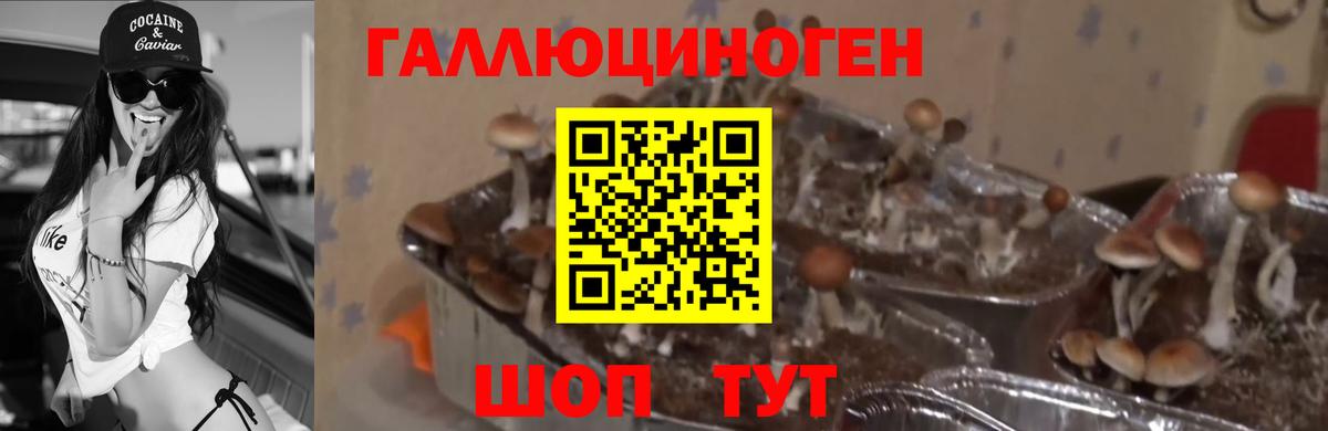Галлюциногенные грибы Magic Shrooms Берёзовский