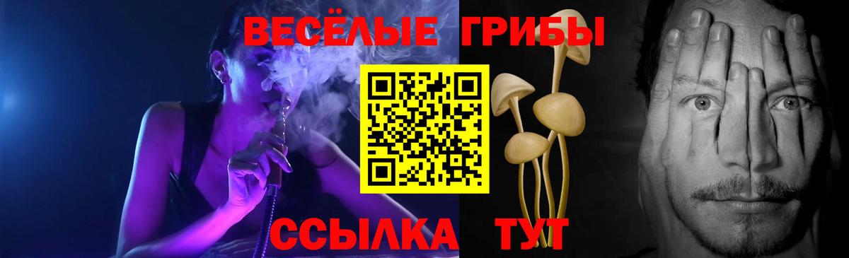 Галлюциногенные грибы Psilocybine cubensis Берёзовский