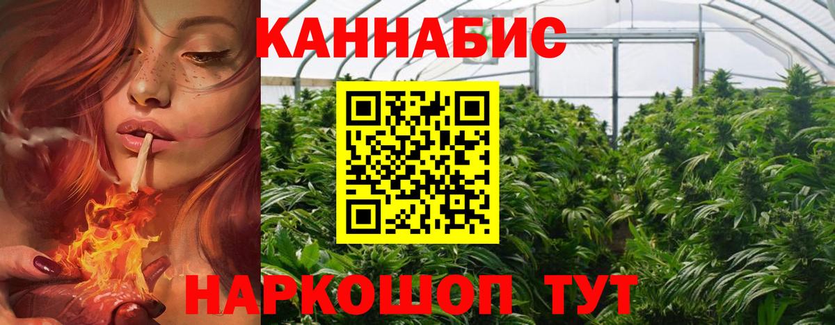 Бошки Шишки SATIVA & INDICA  Марихуана сатива  Берёзовский  Марихуана конопля 